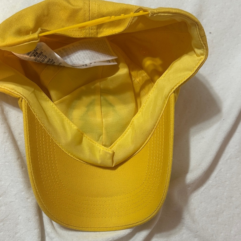 Disney Wilderness Explorer Hat - image 4